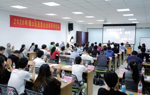 蜀山破局新生 七項(xiàng)經(jīng)濟(jì)指標(biāo)領(lǐng)跑合肥城區(qū)，藝術(shù)培訓(xùn)產(chǎn)業(yè)成新增長極